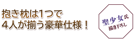 『抱き枕カバー付き』